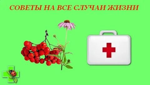 33 совета на все случаи жизни