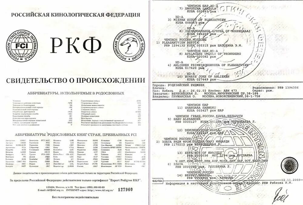 Ркф м06. Как выглядит родословная собаки ркф. родословная р.к.ф. собаки ркф. родословная немецкой овчарки ркф. родословная собаки ркф образец.