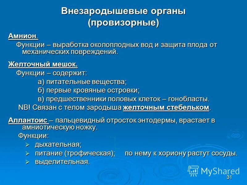 Внезародышевые органы функции. Внезародышевые органы функции