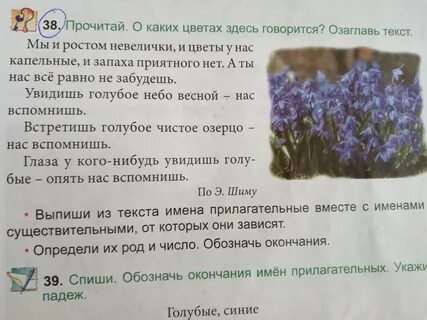 Вставьте пропущенные слова растения называют цветковыми потому