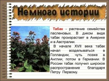 Признаки табака