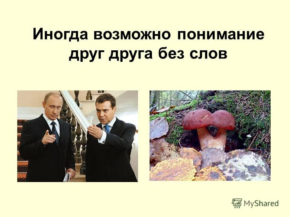 Главное поняли друг друга