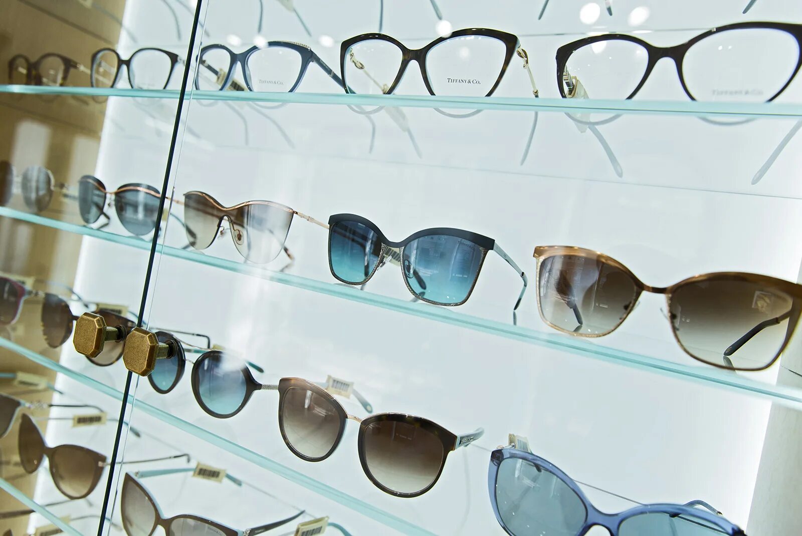 ГУМ очки магазин. Витрина для солнечных очков. Ассортимент солнцезащитных очков. Солнцезащитные очки на витрине.