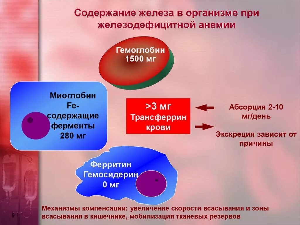 Изменение железа в крови. Показатели железа в организме. Поступление железа в организме. Гемоглобин при железодефицитной анемии. Содержание железа в организме.