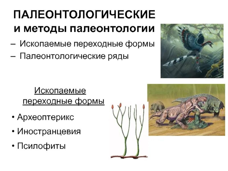 Палеонтология методы