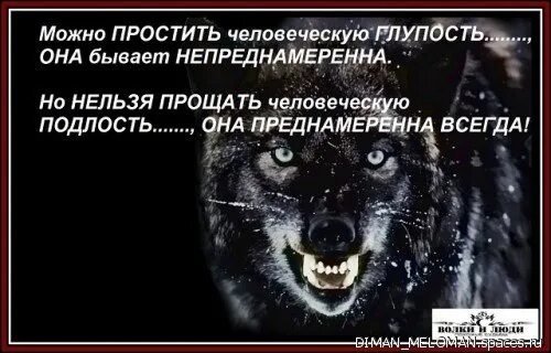 Не беги за нею глупый. Можно простить глупость. Подлость картины. Человеческая подлость. Подлость нельзя прощать.