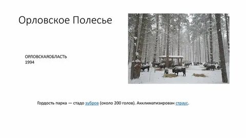 Орловское полесье сообщение