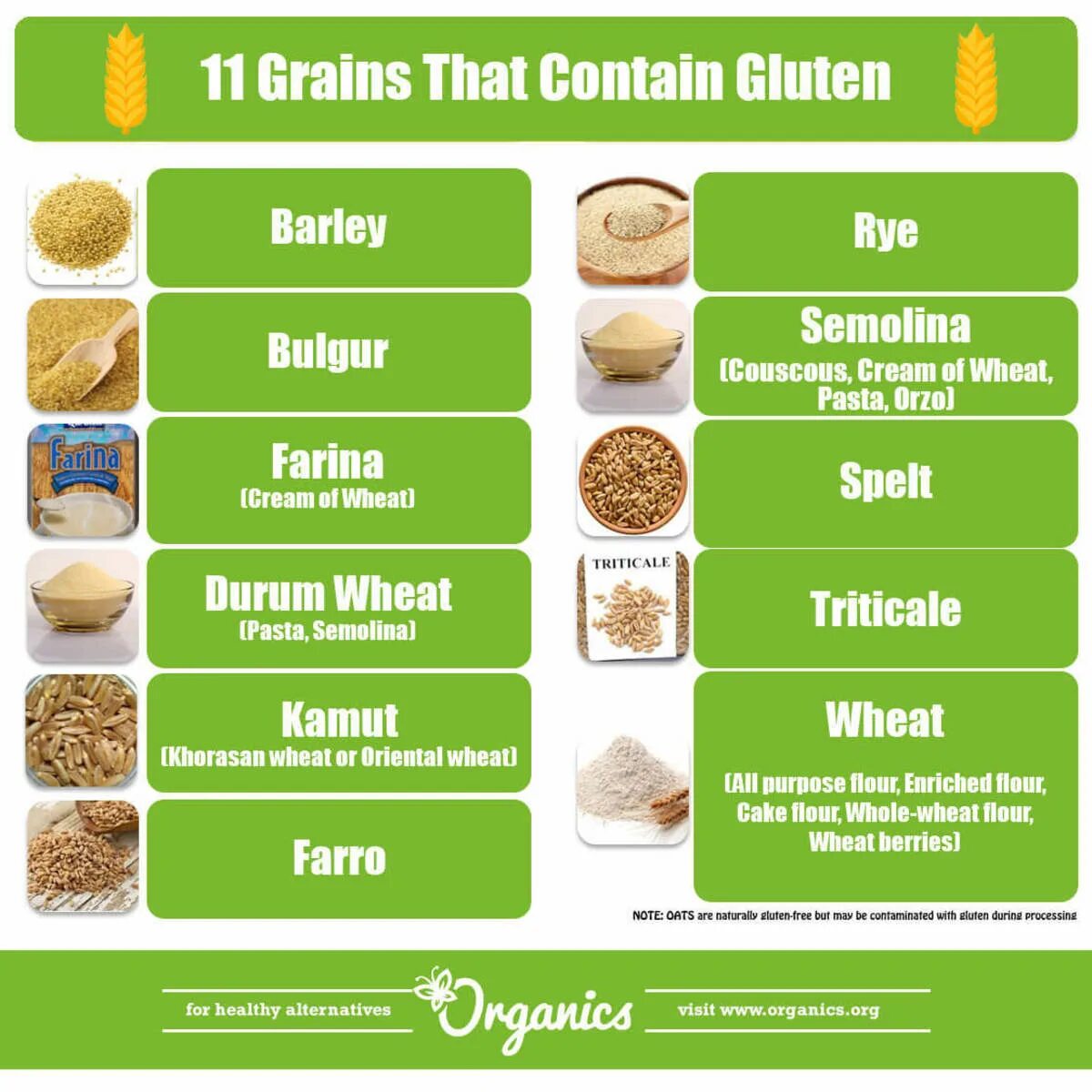 Гречка глютен. Продукты с глютеном. Безглютеновые продукты. Глютеносодержащие злаки. Продукты содержащие глютен.