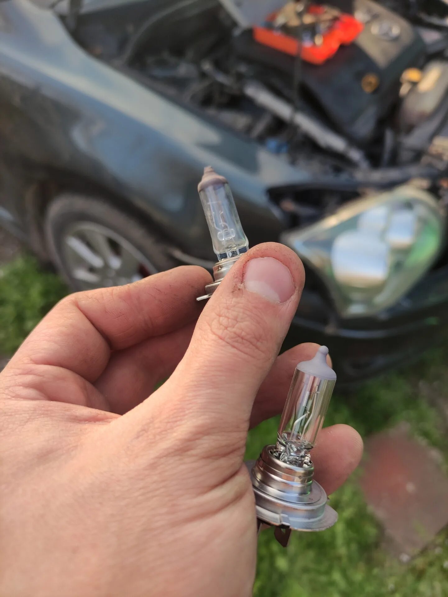 Тойота авенсис дальний свет лампа. Лампа ближнего света тойота авенсис 2008. Лампа ближнего света toyota avensis 2008. Тойота авенсис дальний свет лампа. Лампа ближнего света toyota avensis 2003.