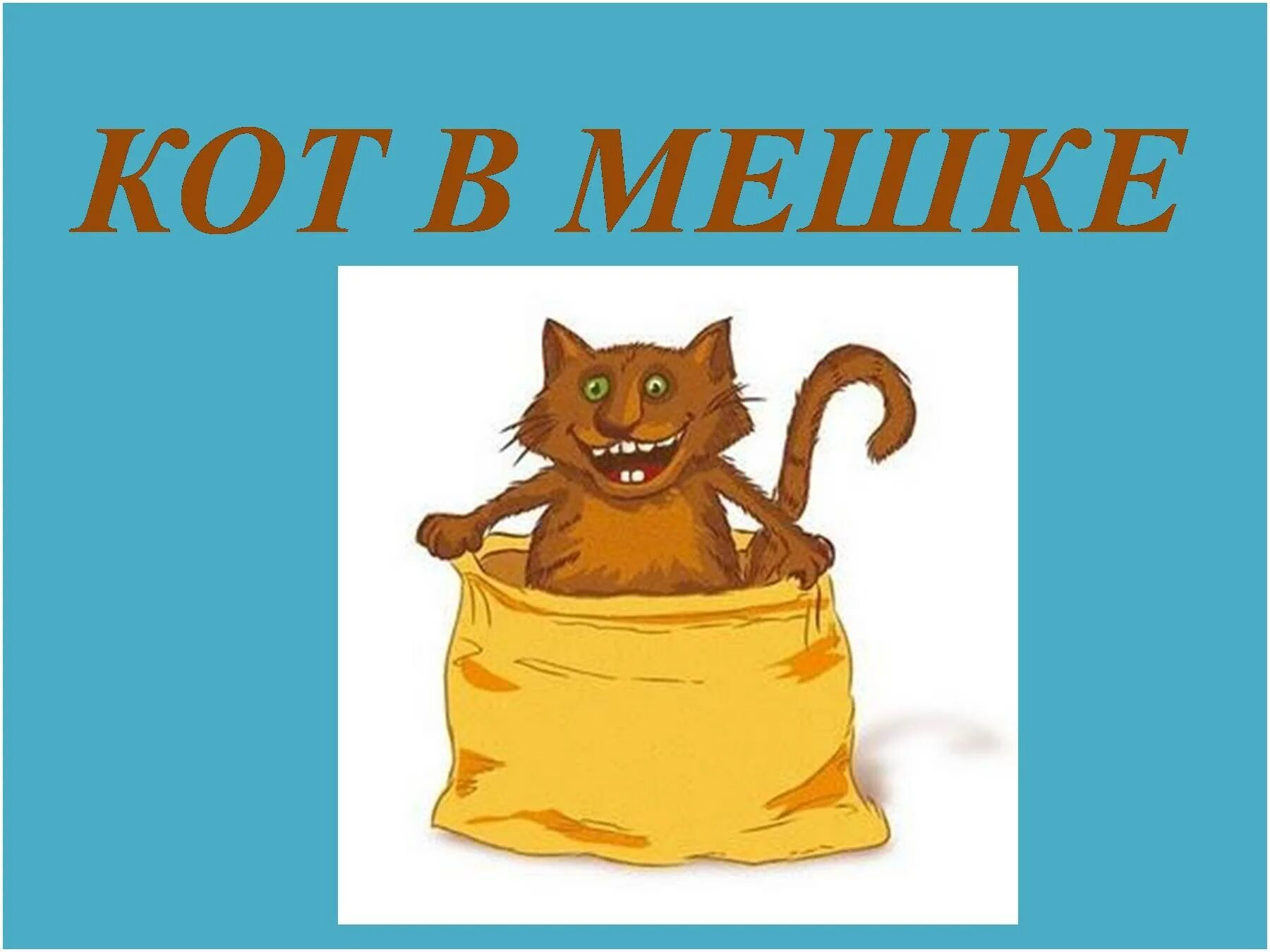 Кот в мешке пословица. Кот в мешке фразеологизм. иллюстрация к фразеологизму кот в мешке. кот наплакал рисунок.