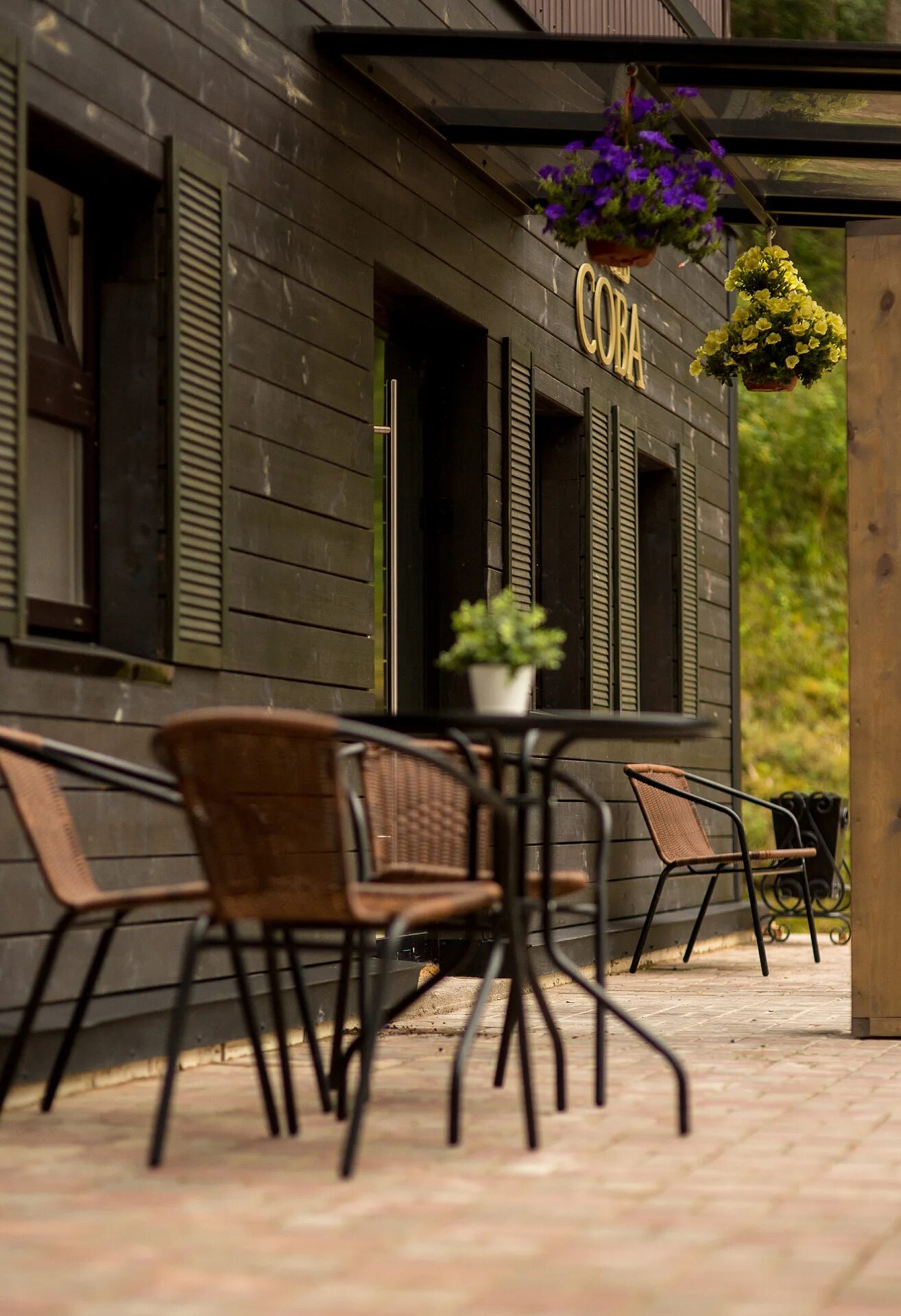 Сова печоры. Гостиница сова печоры. Гостиница сова печоры. Сова печоры. Отель сова владикавказ.