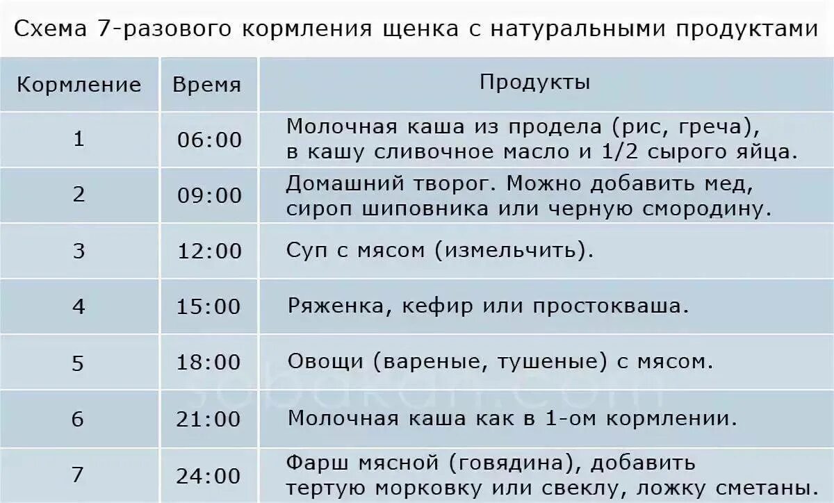 Сколько нужно есть собаке. Рацион питания щенка 3 месяца. Рацион питания 1.5 месячного щенка немецкой овчарки. Рацион питания 1 месячного щенка лабрадора. Чем можно кормить щенка в 2 месяца.