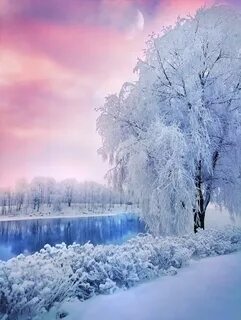 Winter days