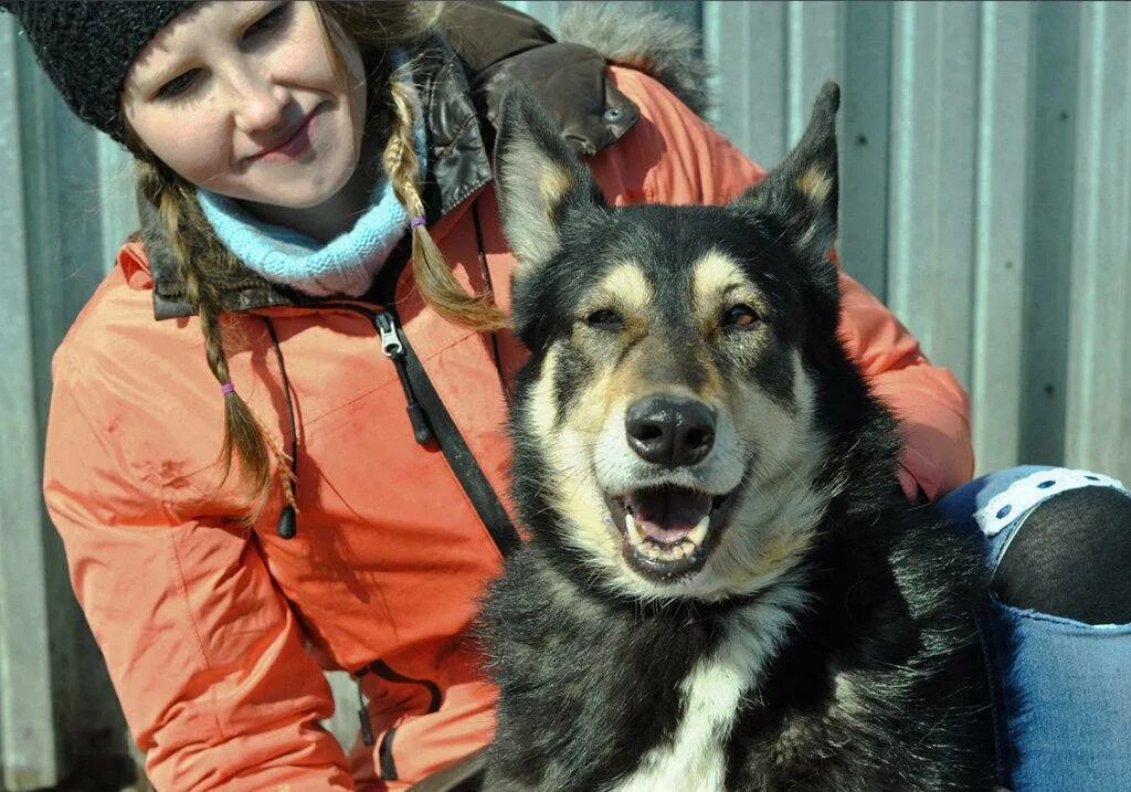 Волонтеры в приюте. Стать волонтером приюта. Приют для бездомных животных в калуге остров надежды. Приют для бездомных животных. Волонтеры с собаками.