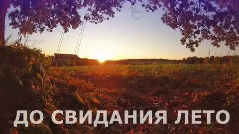 Прекрасный год пока