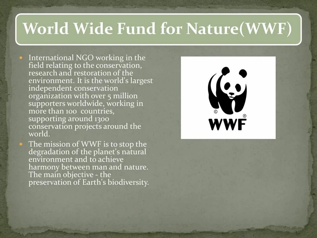 The world wildlife fund is an organization. Всемирный фонд дикой природы. Всемирный фонд дикой природы сообщение. The World wide Fund for nature (WWF). International Environmental Organizations.