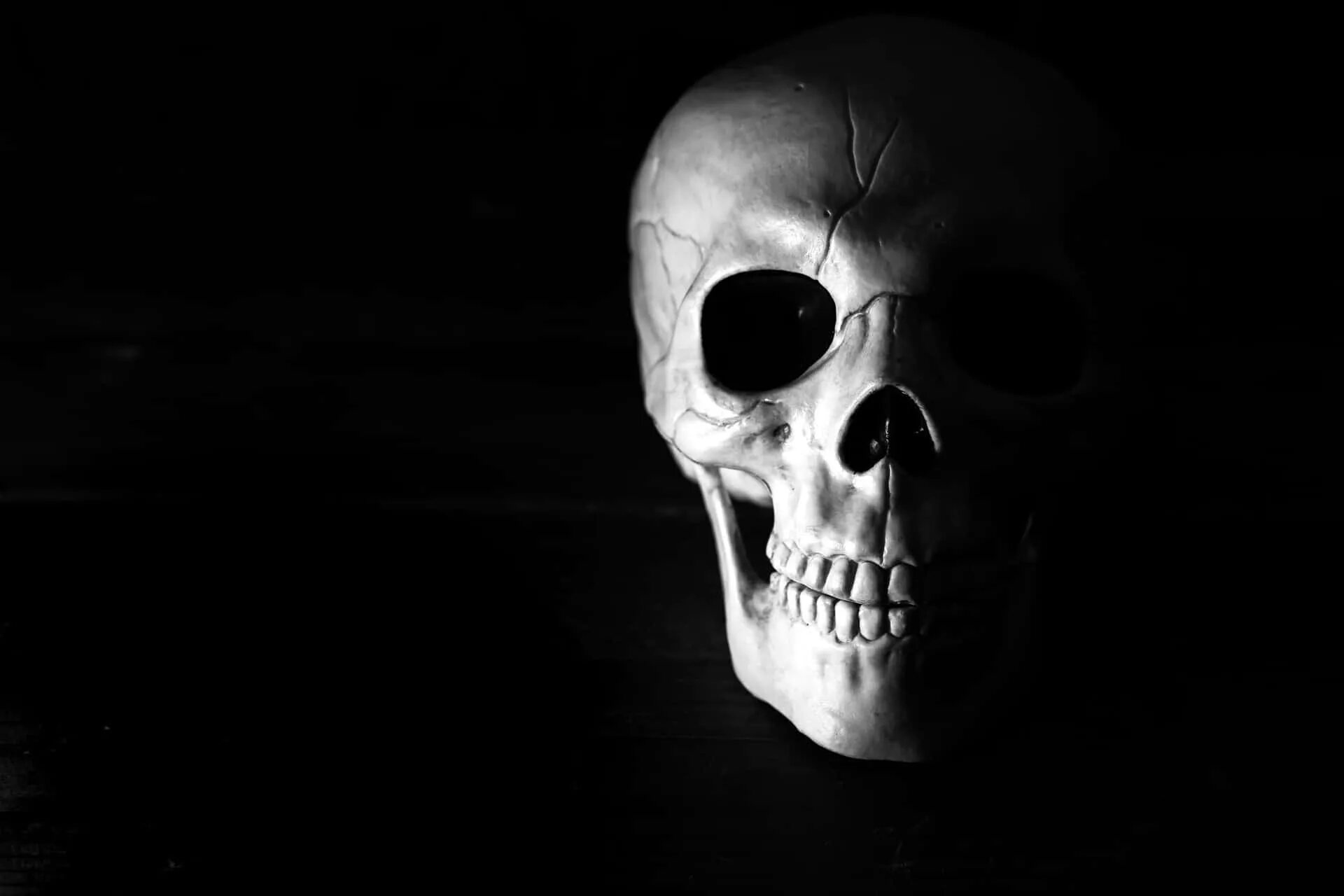 Skeleton face