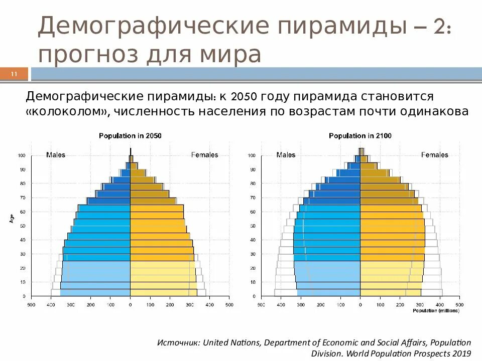Практическая работа 2 прогнозирование изменений возрастной структуры