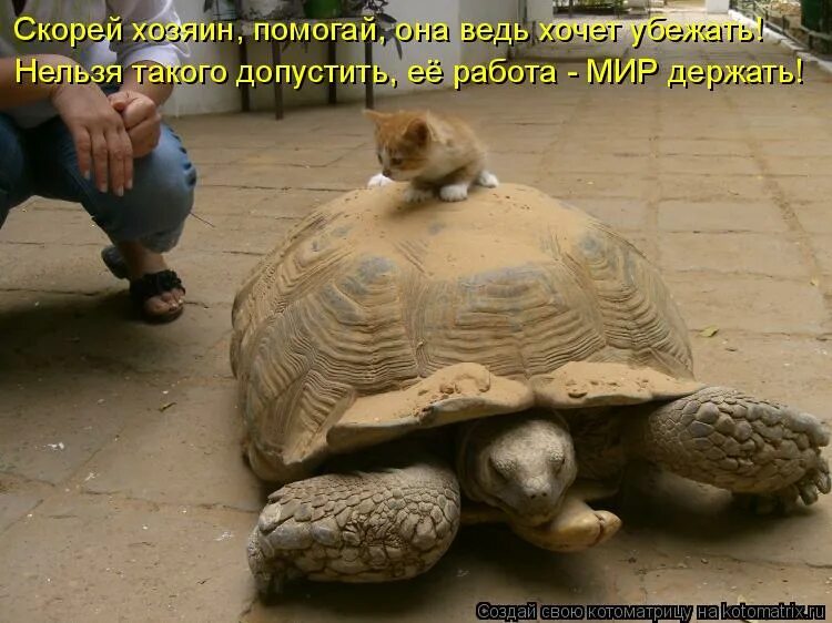 мужчина думает о прошлом. когда тебя не ценят. бог послал мне эти испытания значит. встретишь еще своего человека. не держи возле себя чужое счастье.