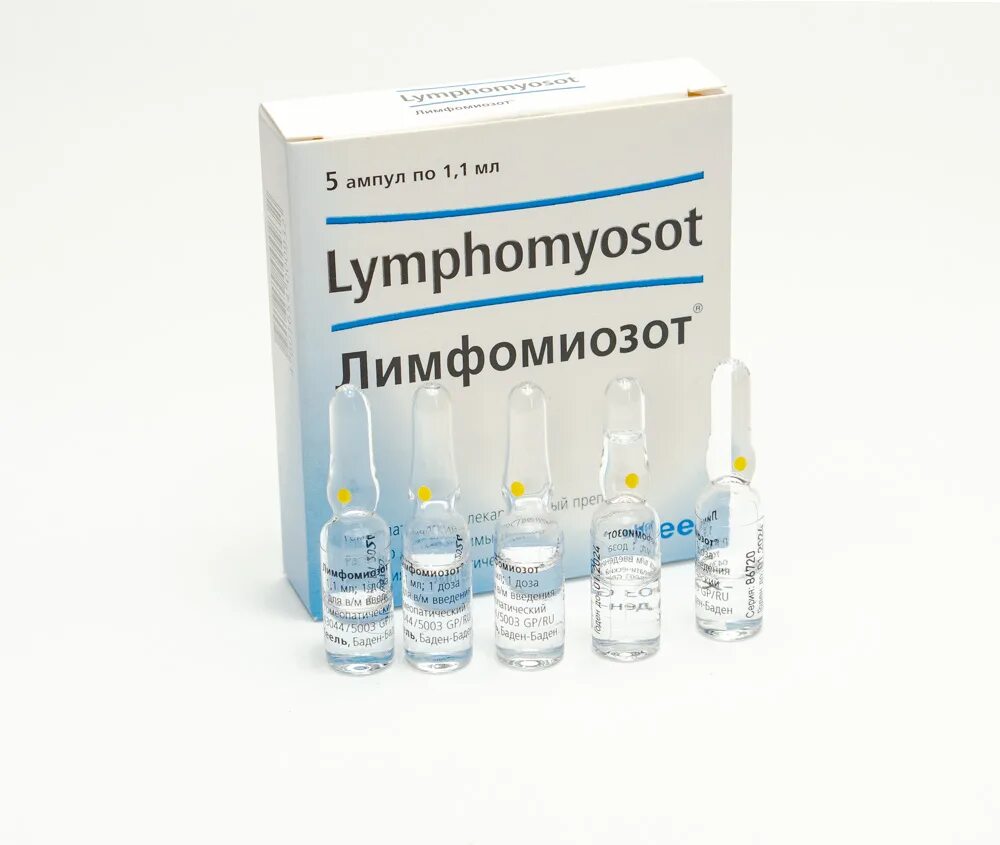 Лимфомиозот. Лимфомиозот 2мл.. Лимфомиозот капли фл 30мл. Лимфомиозот ампулы показания. Лимфомиозот купить в москве