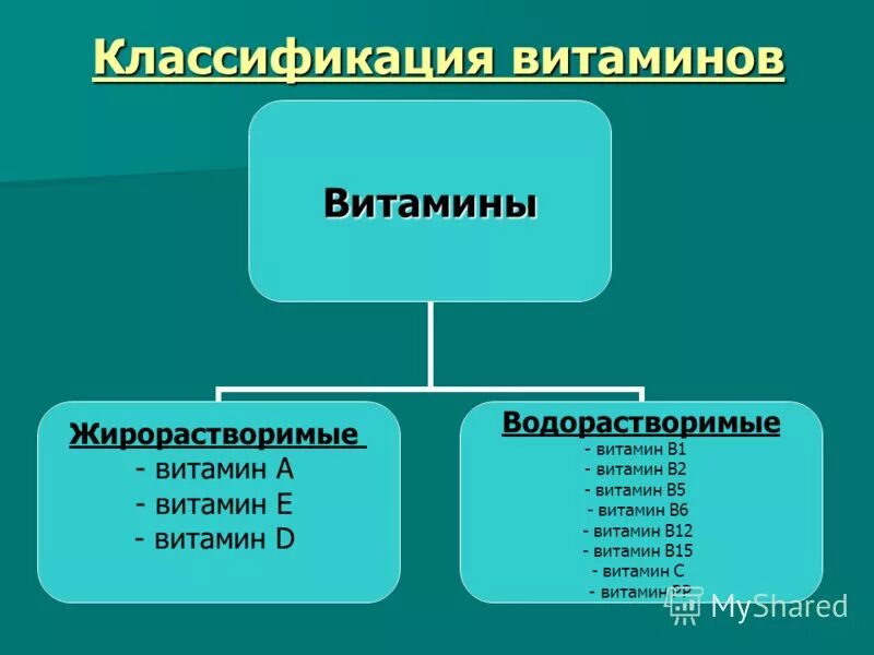 К водорастворимым витаминам относят. Схема водорастворимые и жирорастворимые витамины. Водорастворимые и нерастворимые витамины. Группы витаминов водорастворимые и жирорастворимые. Витамины растворимые и жирорастворимые.