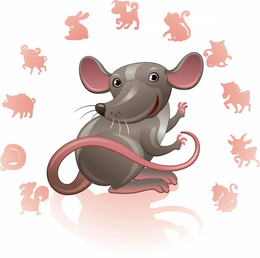 Гороскоп на 2020 год. Год крысы символ на китайском. Крыса по китайскому календарю. Гордая крыса. Крыса по китайскому гороскопу.