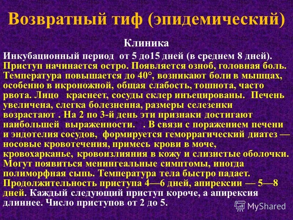 возвратный тиф. возвратный тиф симптомы. эпидемический возвратный тиф профилактика. эндемический возвратный тиф. возвратный тиф.