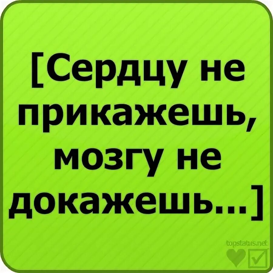 А сердцу не прикажешь. Сердцу не прикажешь статусы. сердцу не прикажешь картинки. сердцу не прикажешь прикол. сердцу не прикажешь цитаты.