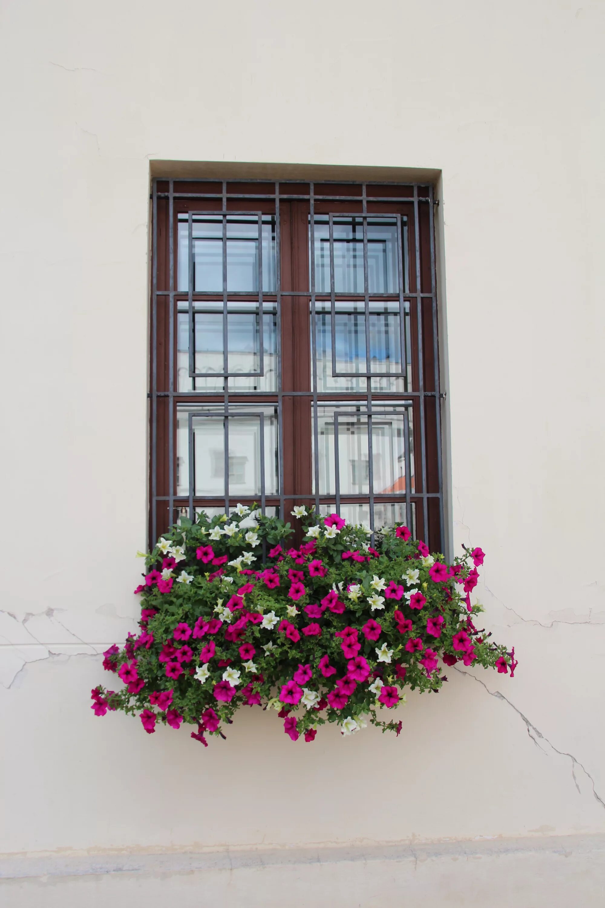 Цветы на окне. Цветы на балконе. Окно в цветах. Цветы на окнах снаружи.