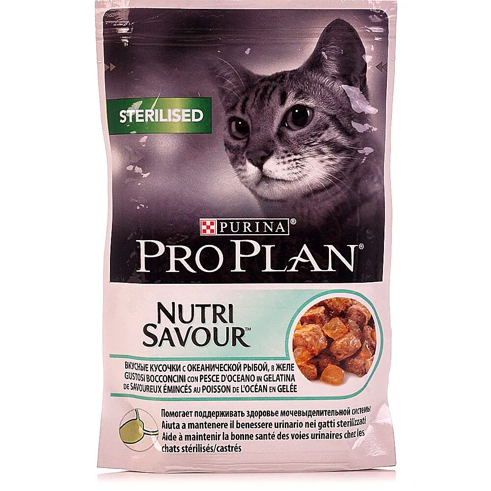 Pro plan для котов. Пурина Проплан для кошек. Purina Pro Plan для стерилизованных кошек океаническая рыба в желе. Пурина Проплан для стерилизованных кошек влажный. Пурина про план корм для стерилизованных кошек корм кошка.