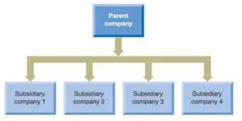 Subsidiary company