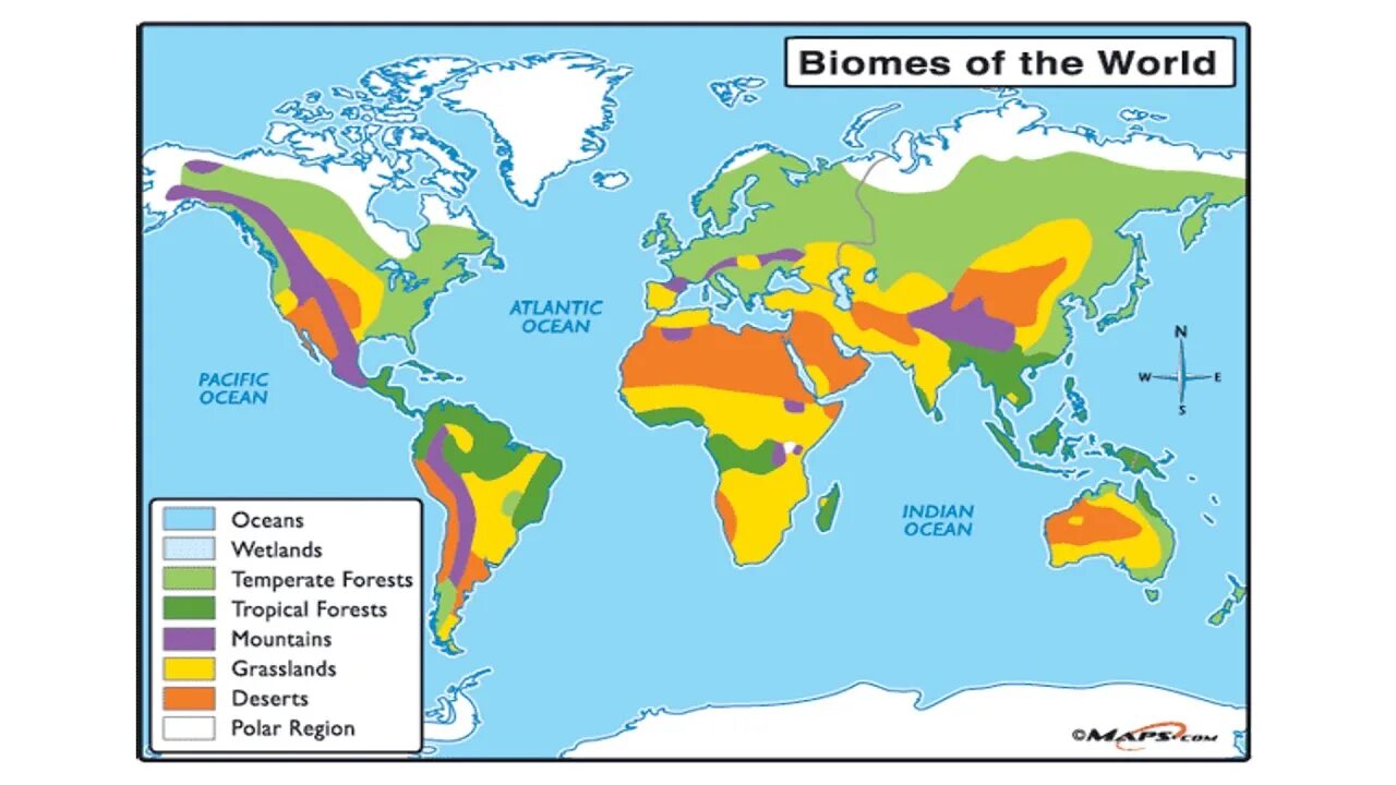 Биомы планеты. Основные биомы. Биомы схема.