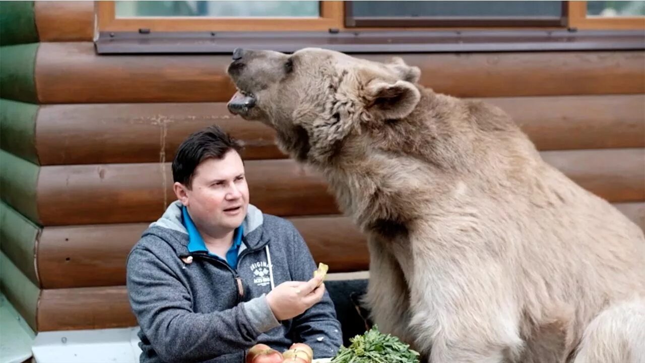 He’s not your average bear. Jim and Susan Kowalczik snuggle and play with a 1,40