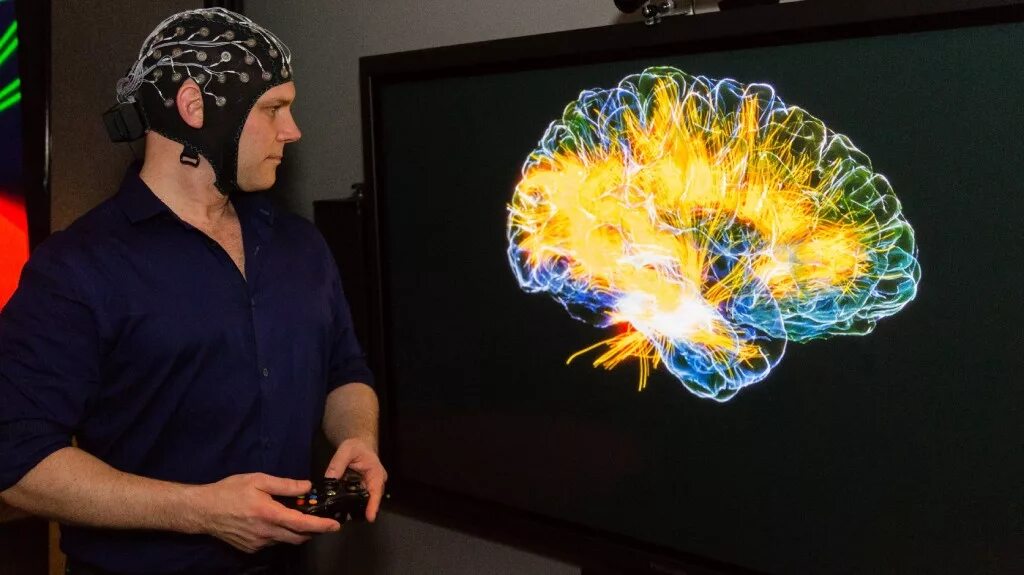 The brains video