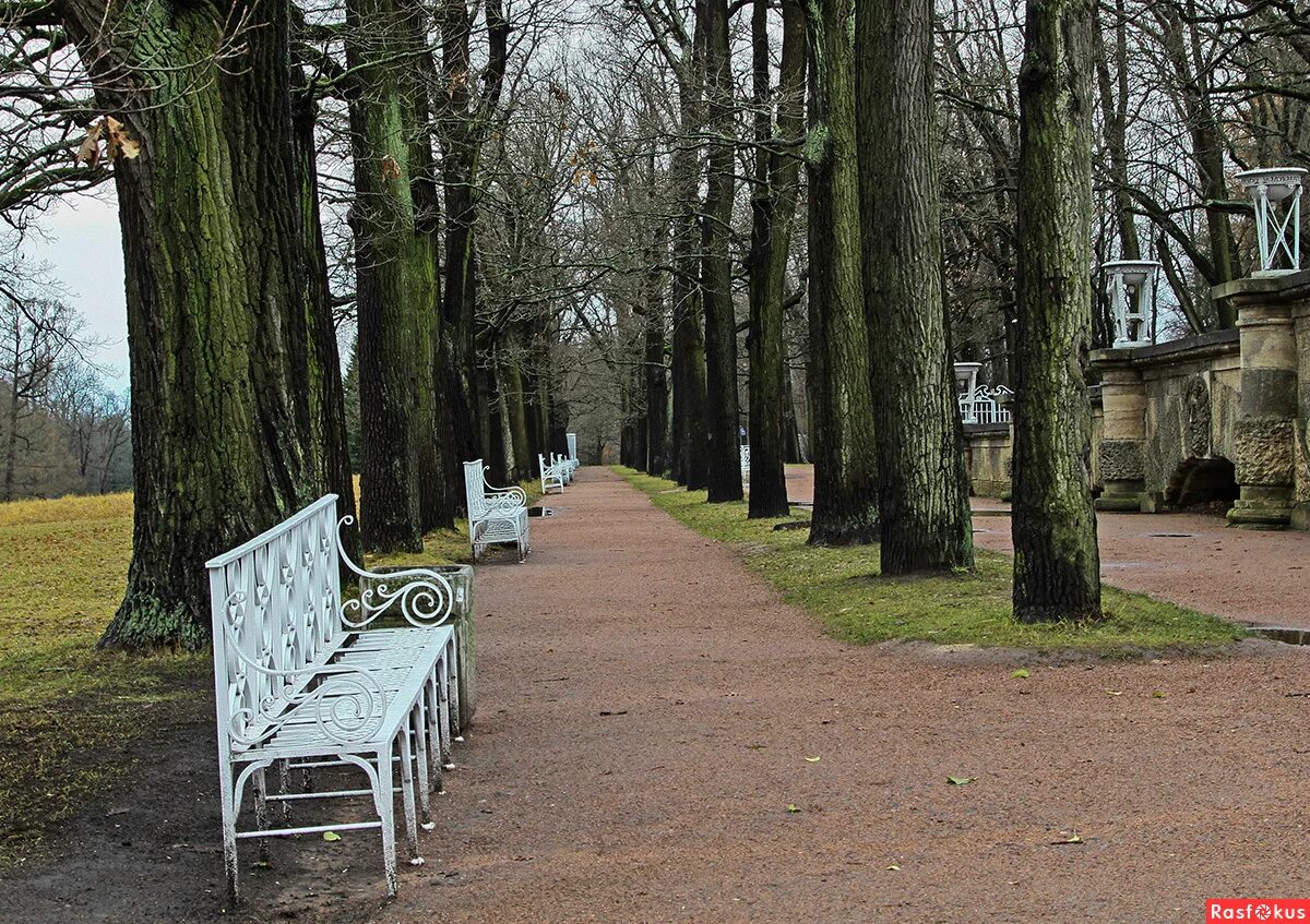 Александровский парк царское село парк. Режим работы парков в пушкине. Александровский парк царское село. Схема александровского парка в царском селе. Александровский парк пушкин план схема.
