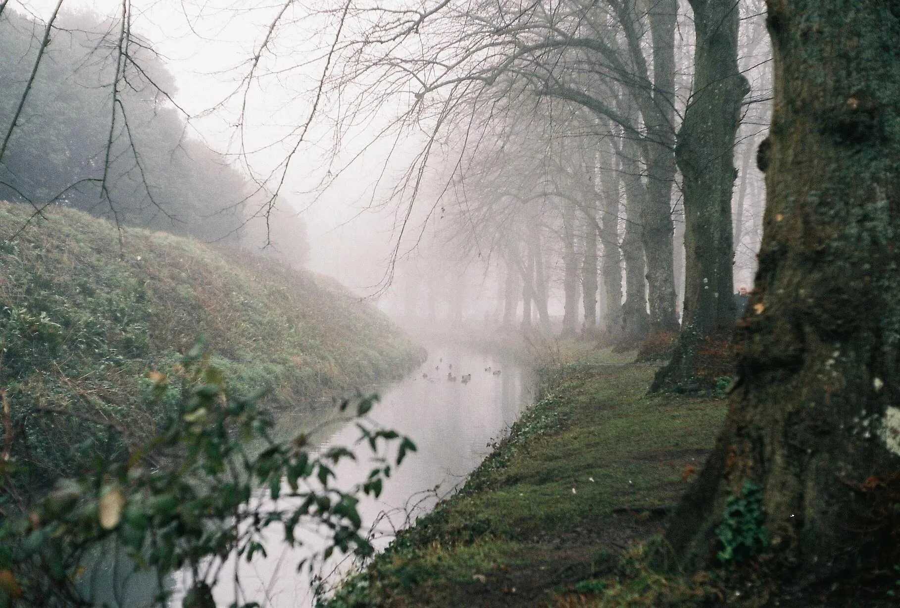 Туман без дождя. Англия туман. Дождь и туман. Дождь в деревне Эстетика. Англия природа дождь.