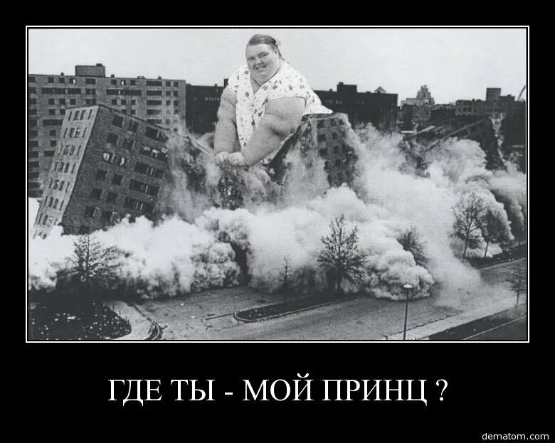 Шутки про внуков. Куда едут бабки по утрам в автобусе. Шутки про таблетки. Внук перепутал. Внук перепутал.