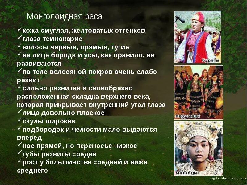 Какие губы у монголоидной расы. Краткая характеристика монголоидной расы. основные черты внешности монголоидной расы.