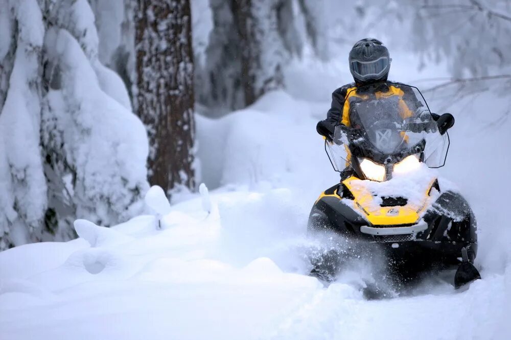 Брп снегоход купить новый. Ski Doo Skandic 600. Снегоход БРП Скандик 600. Снегоход BRP Ski-Doo Skandic. BRP Scandic 600 e-Tec.