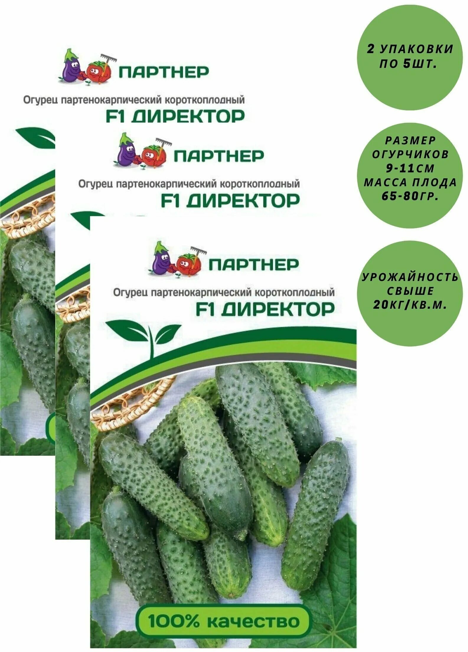 Семена огурца "Директор", F1, 8 шт. (2889602) - Купить по цене от 63.00 руб. Инт