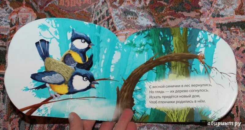Книга синичек. Книги о синицах. кротик и синичка книга.