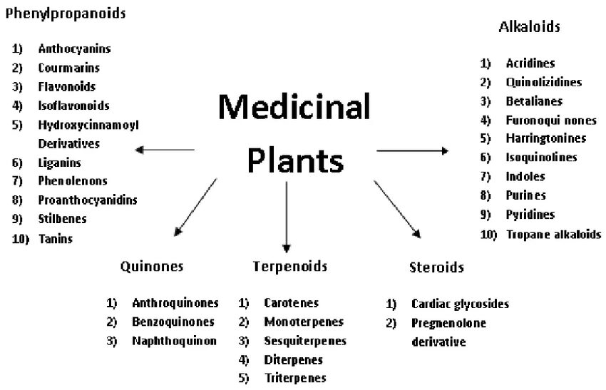 Classification of Plants. Glycosides classification. Cardiac glycosides. Medicinal Plants Cardiac glycosides.