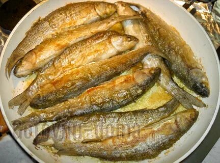 Вкусно пожарить кефаль