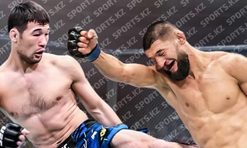 литвин хамзат чимаев бой видео. хамзат чимаев гилберт бернс бой.