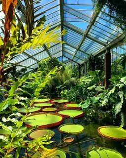 Phone garden