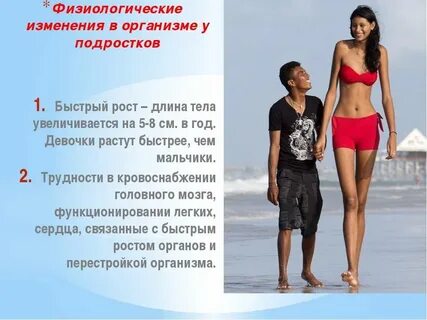 Когда человек перестает расти