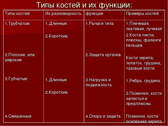 5 групп костей. Виды костей таблица. Таблица Тип костей особенности строения костей примеры костей. Виды костей таблица 8 класс. Таблица типы и строение костей.