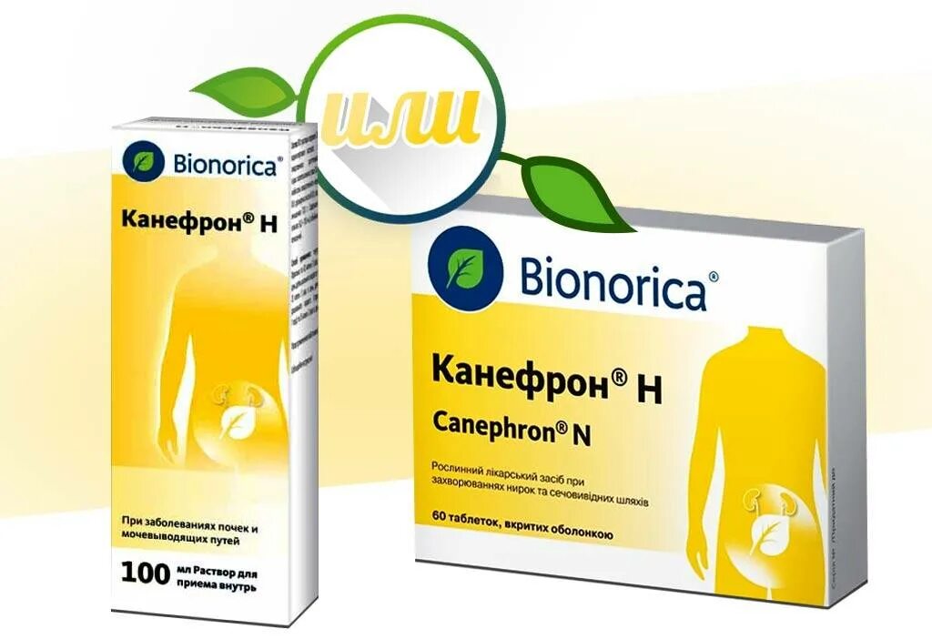 Разница между канефрон и канефрон. Канефрон при беременности 3. канефрон н табл. п/о №60. канефрон н n60 табл п/о. канефрон раствор.