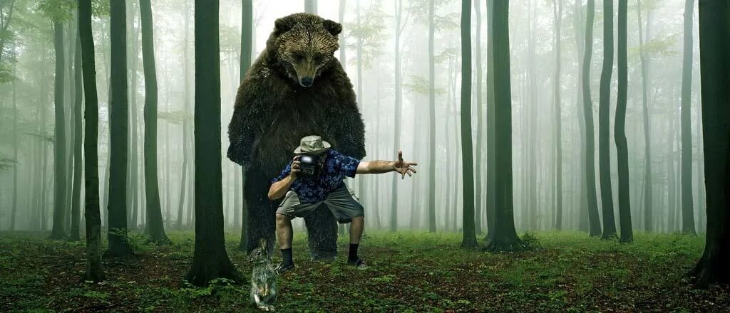 Глуп леса. Медведь в лесу. Медведь и человек. Лесной человек.