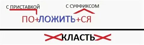Полагать